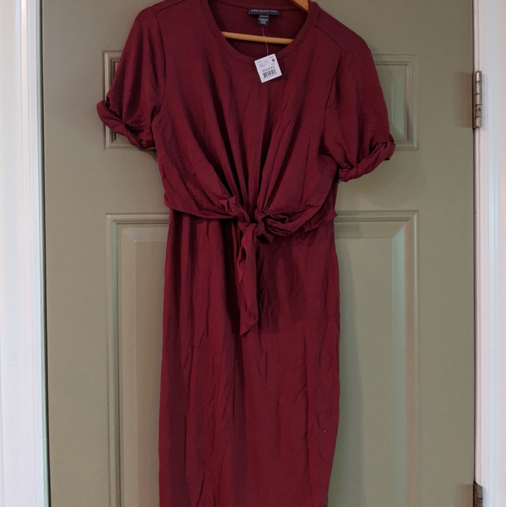 NWT A Pea in the Pod Maternity Dress- Medium
